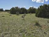 8 Tres Amigos Trail - Photo 15
