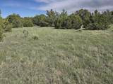 8 Tres Amigos Trail - Photo 16