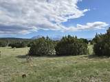 8 Tres Amigos Trail - Photo 19