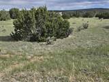 8 Tres Amigos Trail - Photo 20