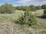 8 Tres Amigos Trail - Photo 21