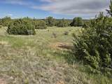 8 Tres Amigos Trail - Photo 22