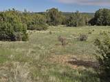 8 Tres Amigos Trail - Photo 23
