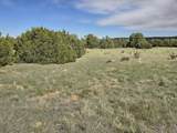 8 Tres Amigos Trail - Photo 4