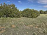 8 Tres Amigos Trail - Photo 5