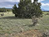 8 Tres Amigos Trail - Photo 6