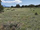 8 Tres Amigos Trail - Photo 7