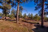 14502 County Rd 31.9 - Photo 55