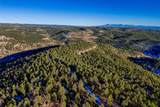 14502 County Rd 31.9 - Photo 6
