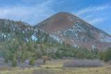 Lot 50 Tres Valles West - Photo 10