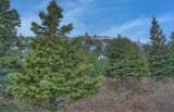 Lot 50 Tres Valles West - Photo 11