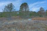 Lot 50 Tres Valles West - Photo 12