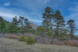 Lot 50 Tres Valles West - Photo 13