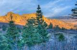 Lot 50 Tres Valles West - Photo 4
