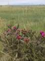 TBD Schmitt Road - Photo 16