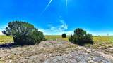 TBD Schmitt Road - Photo 17