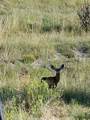 TBD Schmitt Road - Photo 7