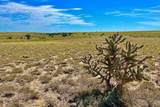 TBD Schmitt Road - Photo 9