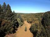 33010 Squirrel Lane - Photo 58