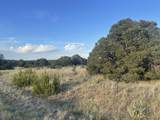 TBD Black Diamond Park - Photo 10