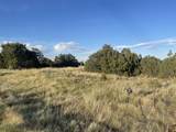 TBD Black Diamond Park - Photo 2