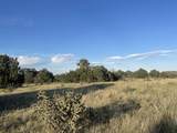 TBD Black Diamond Park - Photo 4