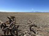 TBD County Road 120 - Photo 10