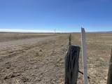 TBD County Road 120 - Photo 13