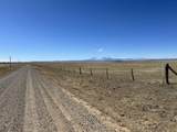 TBD County Road 120 - Photo 14