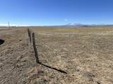 TBD County Road 120 - Photo 2