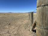 TBD County Road 120 - Photo 3