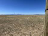 TBD County Road 120 - Photo 5