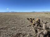 TBD County Road 120 - Photo 8