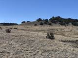 Lot 10 Longhorn Ranch - Photo 4