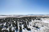 Lot 51 Ghost River Ranch - Photo 4
