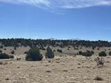 lot 26 Tioga Ranch - Photo 1