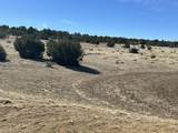 lot 26 Tioga Ranch - Photo 11
