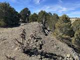 lot 26 Tioga Ranch - Photo 12