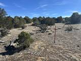 lot 26 Tioga Ranch - Photo 16