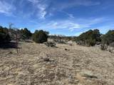 lot 26 Tioga Ranch - Photo 17