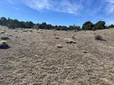lot 26 Tioga Ranch - Photo 18