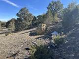 lot 26 Tioga Ranch - Photo 19
