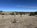 lot 26 Tioga Ranch - Photo 21