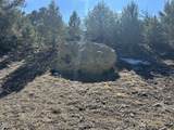 lot 26 Tioga Ranch - Photo 5