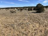 lot 26 Tioga Ranch - Photo 6