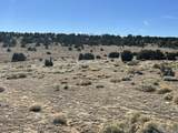 lot 26 Tioga Ranch - Photo 8