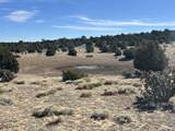 lot 26 Tioga Ranch - Photo 9