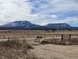  Tbd Highway 69 - Photo 10