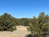 TBD Navajo Ranch Resorts #3 - Photo 1