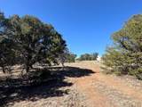 TBD Navajo Ranch Resorts #3 - Photo 5